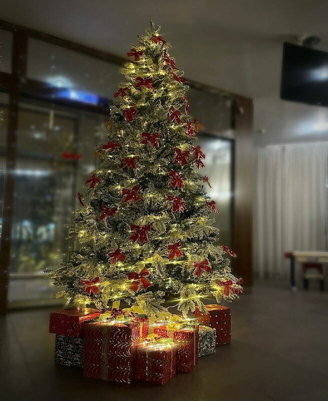 Гостиница Гостиный Двор Новосибирск-126